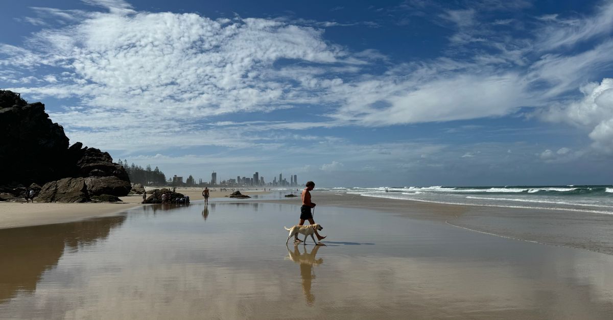 An Overview of Common Specialisations Practiced by Gold Coast Osteopaths